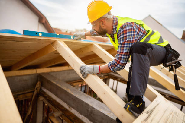 Best Roof Maintenance Services  in Wayne, WV