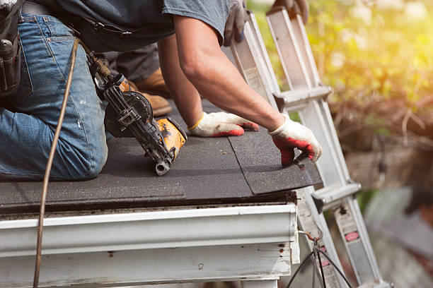 Best Roof Gutter Cleaning  in Wayne, WV