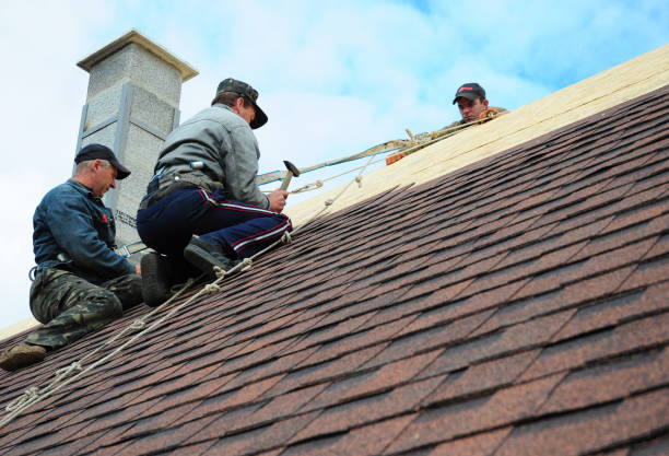 Quick and Trustworthy Emergency Roof Repair Services in Wayne, WV
